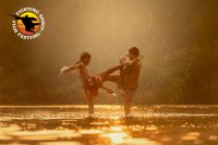 Round 1...Fight! Birmingham takes on the Fighting Spirit Film Festival