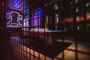 i choose birmingham kongs