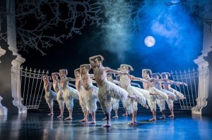 I Choose Birmingham Swan Lake