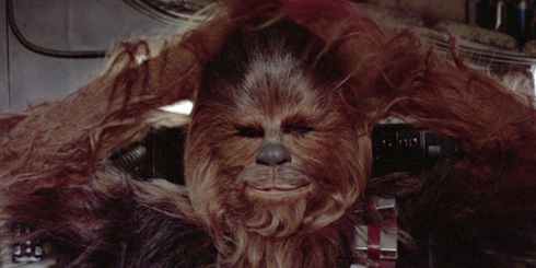 Chewbacca Chills Out