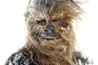 Chewbacca on Hoth